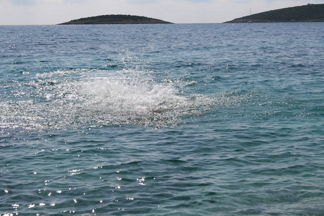gal/cro 08/small-IMG_4920.JPG